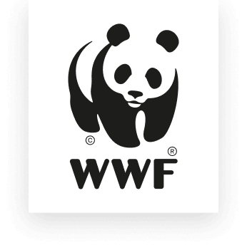 Panda Pulse | WWF-Canada